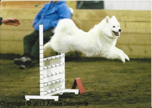 Tikaani Young Tikaani